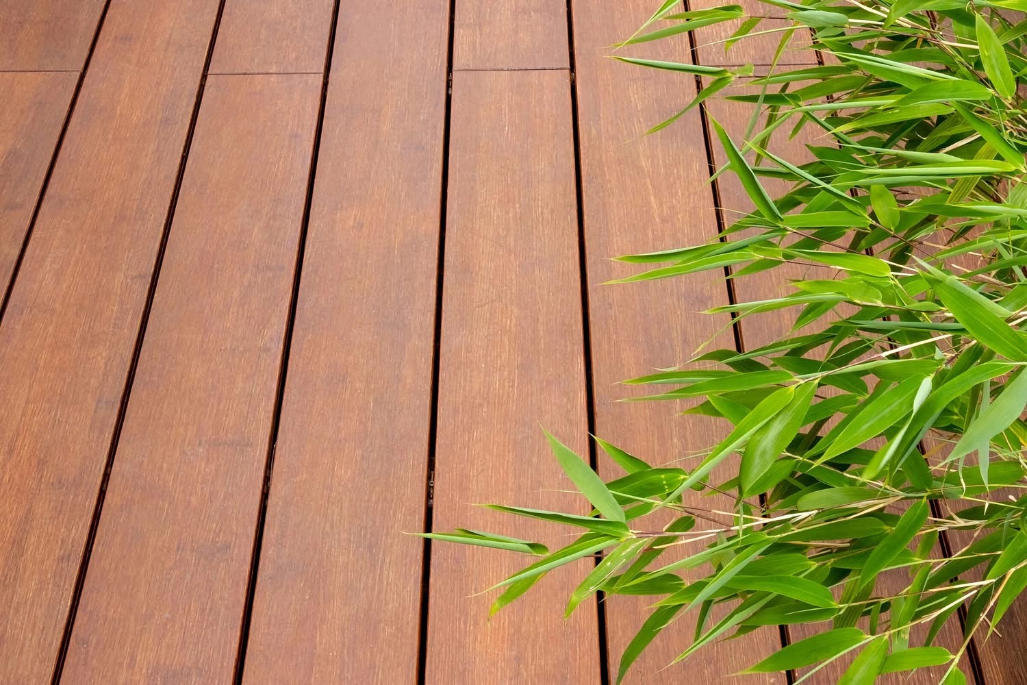 Sàn tre ngoài trời mặt phẳng kết hợp cây xanh